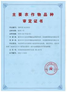 联邦3号审定证书