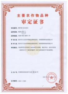 联邦5号审定证书