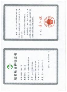 联邦2号植物新品种权证书